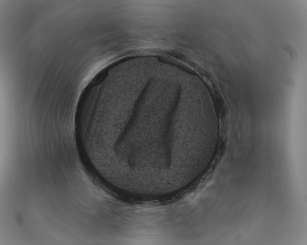 X0000110940196200907171615