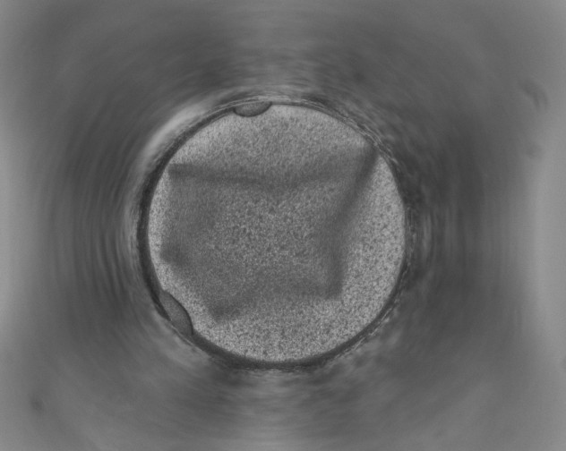 X0000110940197200907171615