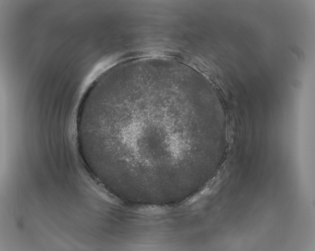 X0000110940198200907171615
