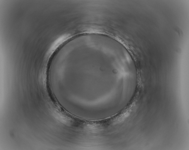 X0000110940199200907171615