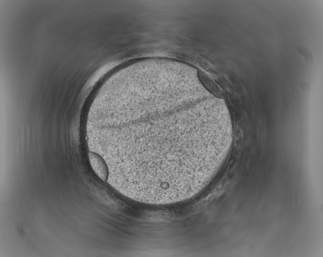 X0000110940200200907171615
