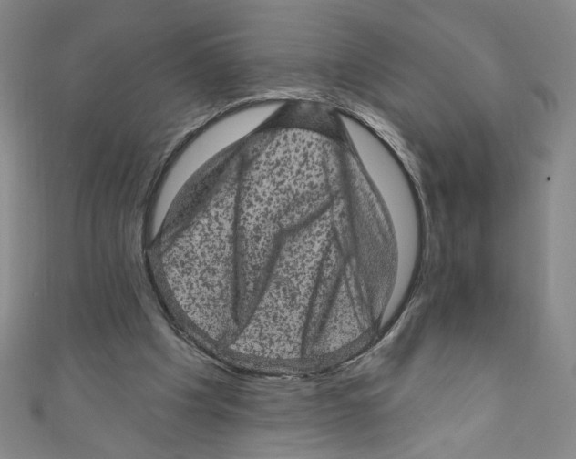 X0000110940201200907171615