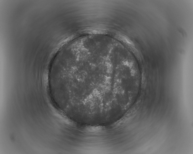 X0000110940202200907171615