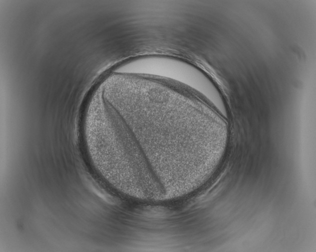 X0000110940203200907171615