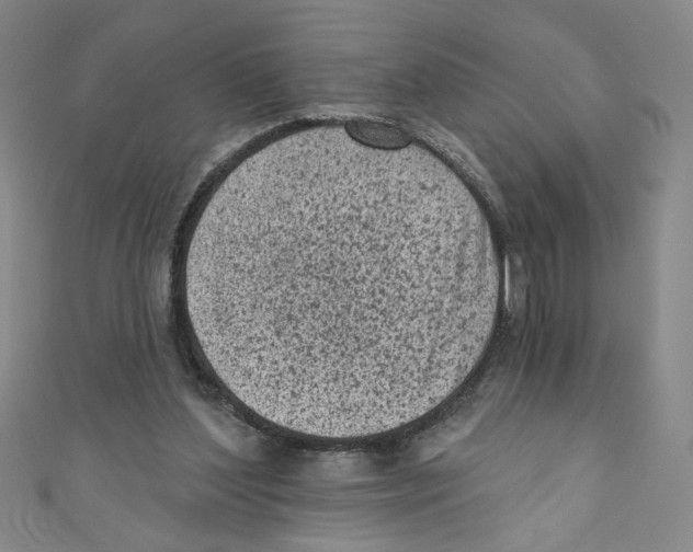 X0000110940204200907171615