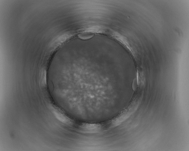 X0000110940205200907171615