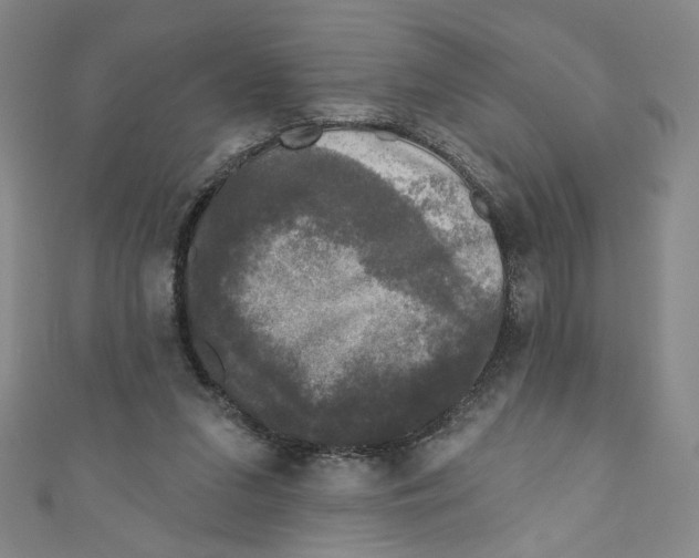 X0000110940207200907171615