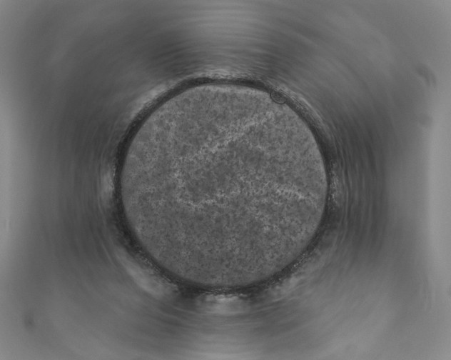 X0000110940208200907171615