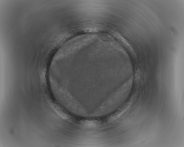 X0000110940209200907171615