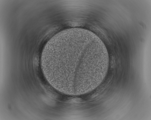 X0000110940210200907171615