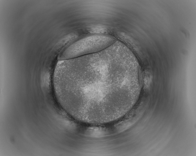 X0000110940211200907171615