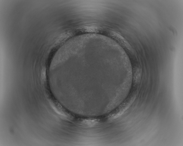 X0000110940213200907171614