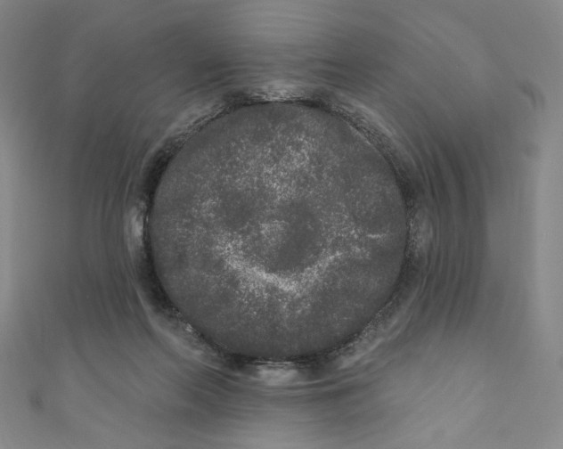 X0000110940214200907171614