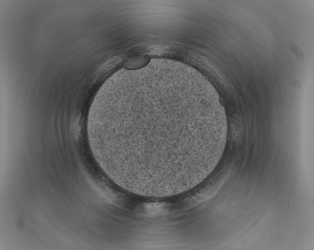 X0000110940216200907171614