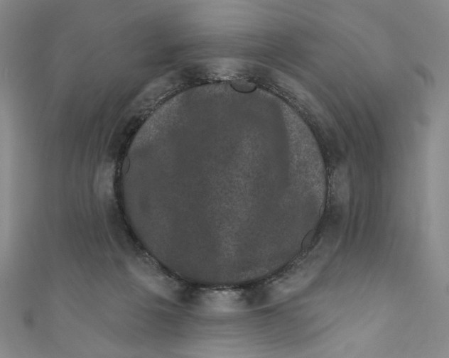 X0000110940217200907171614