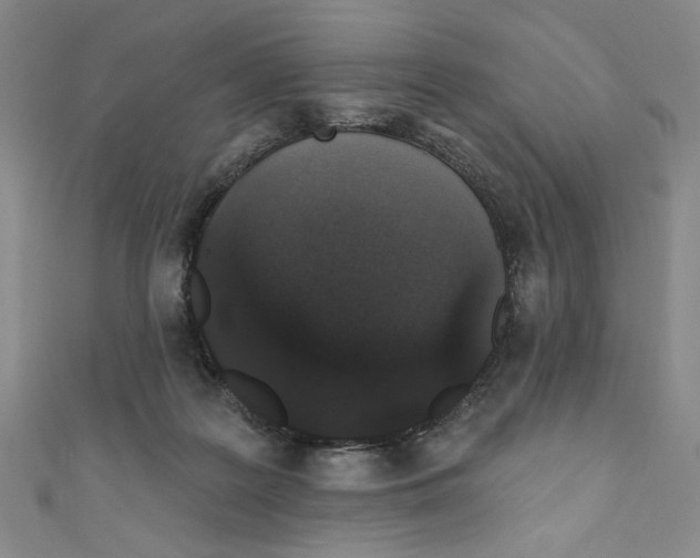 X0000110940219200907171614