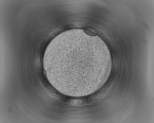 X0000110940220200907171614