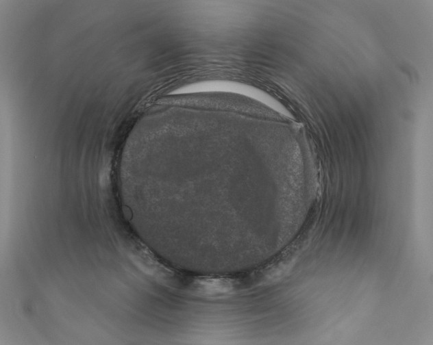 X0000110940221200907171614