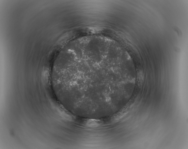 X0000110940222200907171614