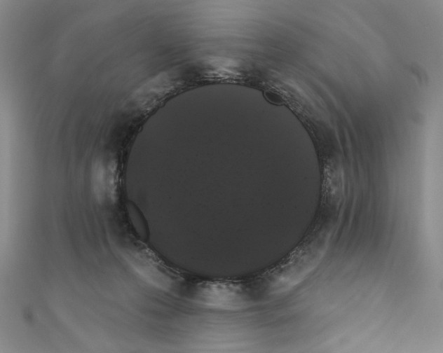 X0000110940223200907171614