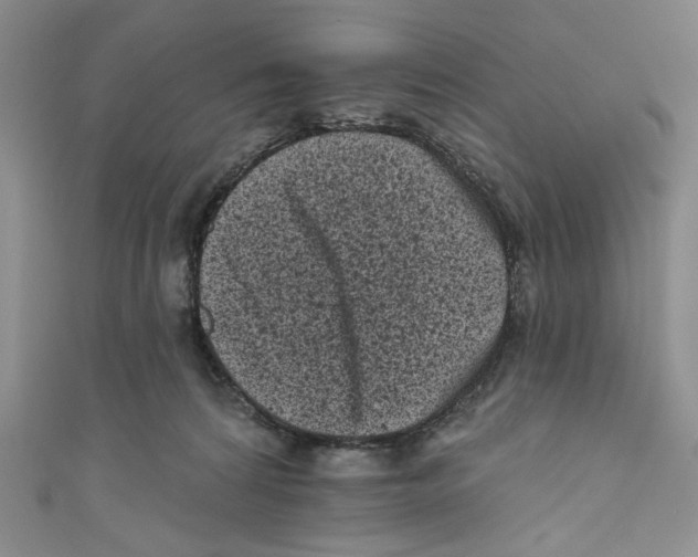 X0000110940224200907171614