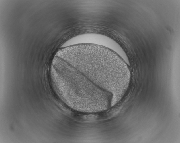 X0000110940225200907171614
