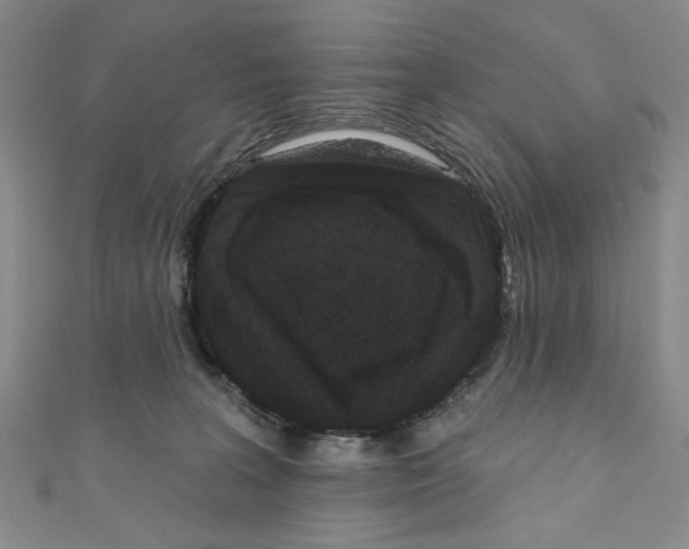 X0000110940227200907171614