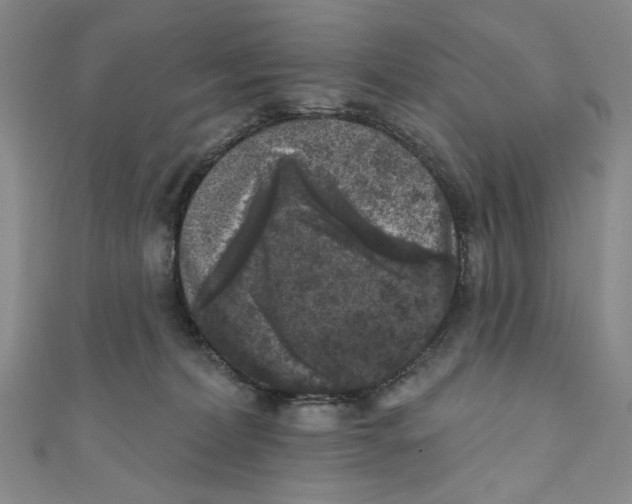 X0000110940228200907171614