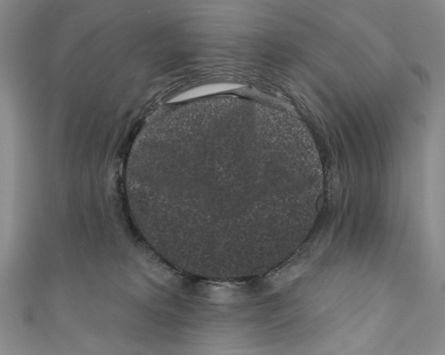 X0000110940229200907171614