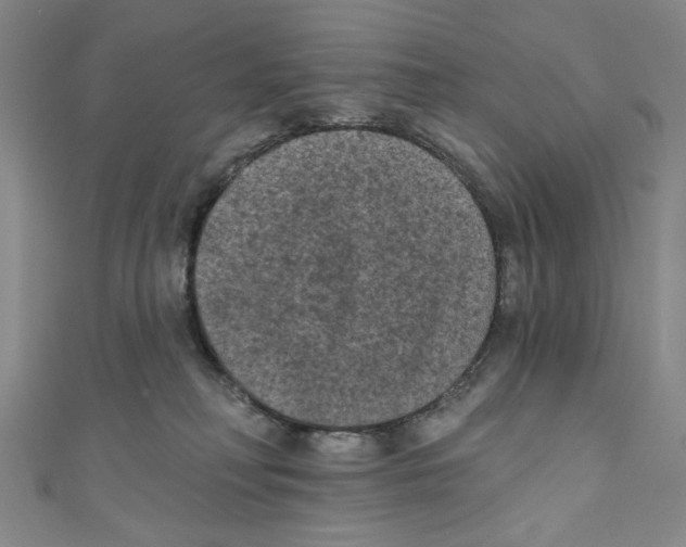 X0000110940230200907171614