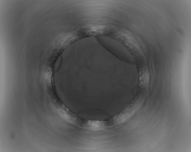 X0000110940231200907171614
