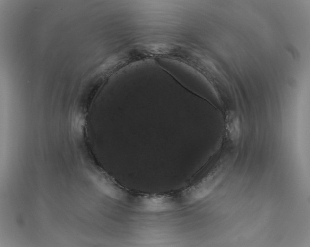 X0000110940235200907171614