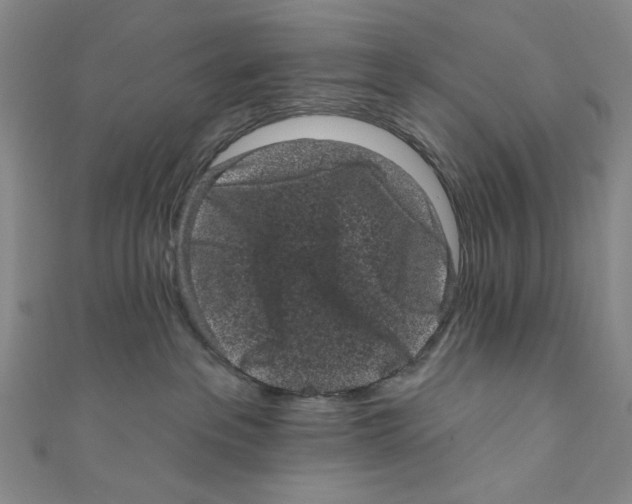 X0000110940237200907171614