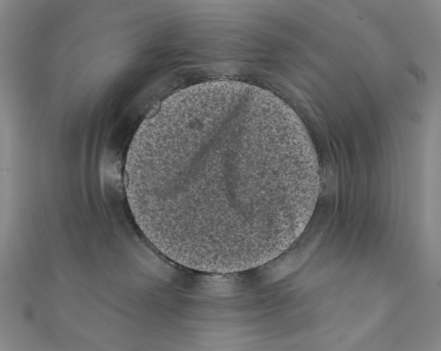 X0000110940238200907171614