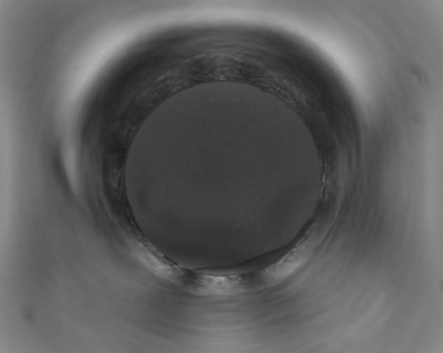 X0000110940239200907171614