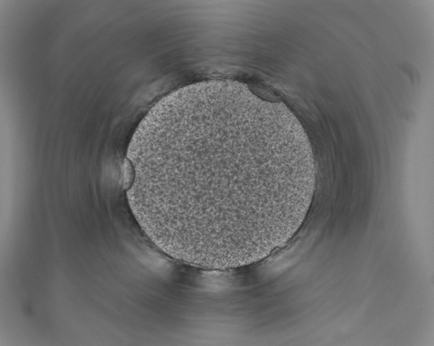X0000110940240200907171614
