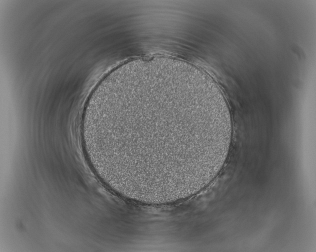 X0000110940241200907171614