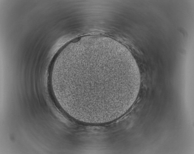 X0000110940242200907171614