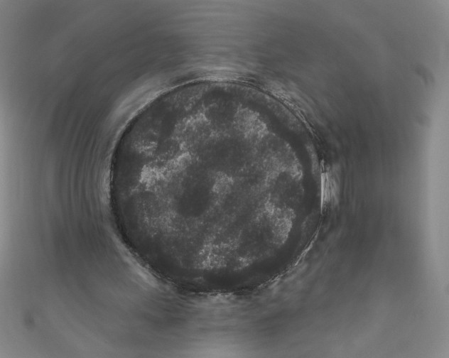 X0000110940243200907171614