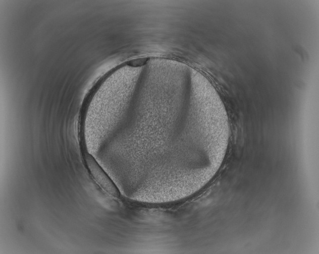 X0000110940244200907171614