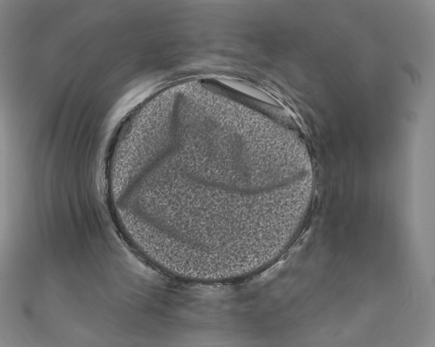X0000110940245200907171614