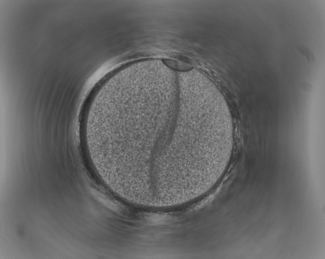 X0000110940246200907171614