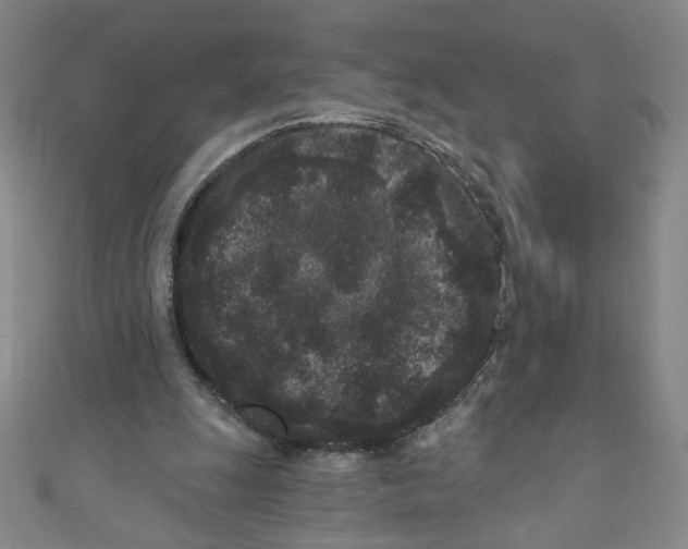 X0000110940247200907171614