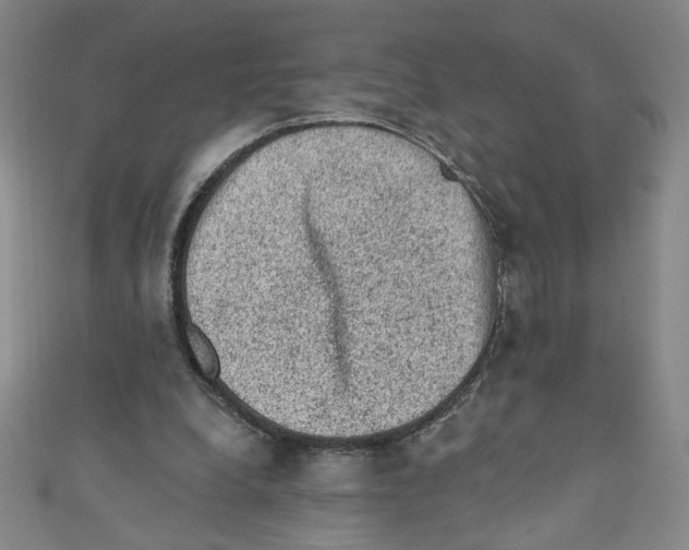 X0000110940248200907171614