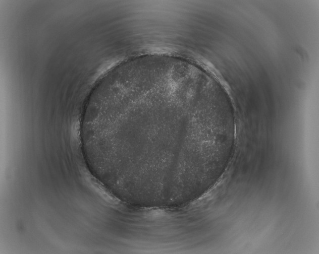 X0000110940249200907171614