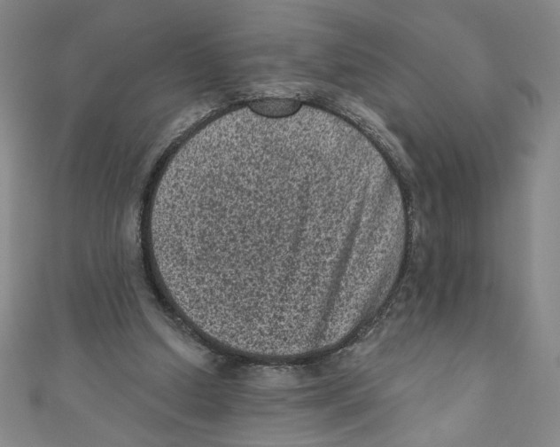 X0000110940250200907171614