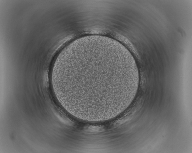 X0000110940251200907171614