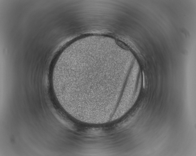 X0000110940252200907171614