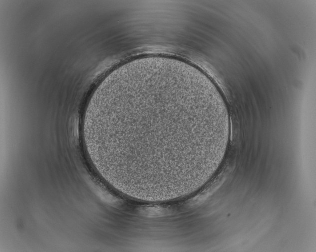 X0000110940253200907171614