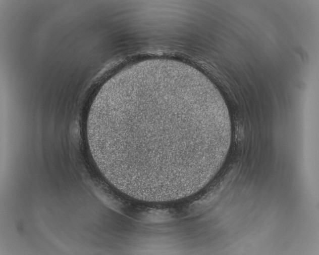 X0000110940256200907171614